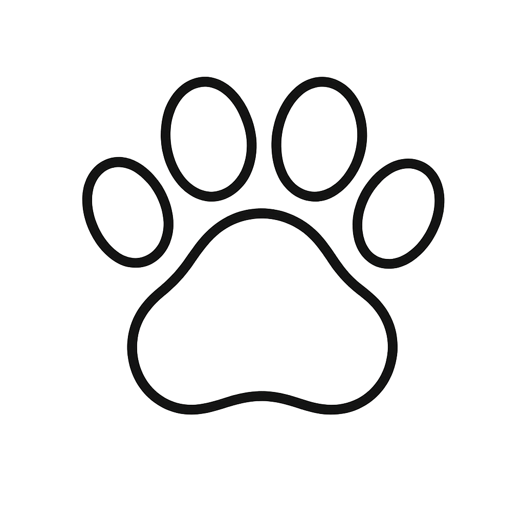chat1
